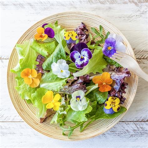 15 Types Of Edible Flowers What Flowers Are Edible