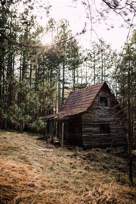 Old Wooden Cabin In The Forest Del Colaborador De Stocksy Boris