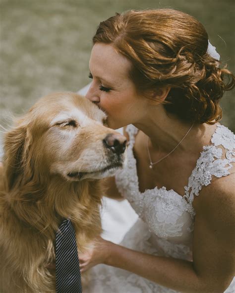️ My Frank Dogs In Weddings Ideas Dog Wedding Wedding Pinterest