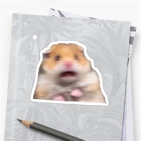 Hamster Meme Sticker By Dtscott19 Redbubble
