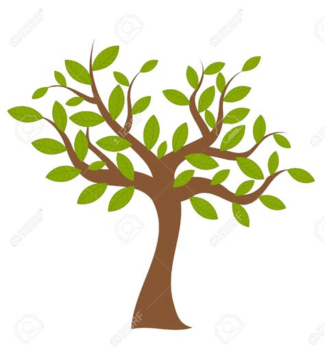 Tree With Leaves Clipart 101 Clip Art