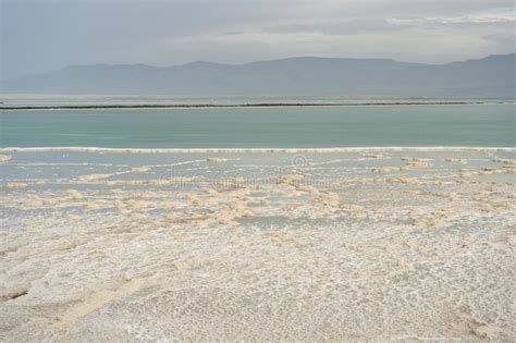Coast Of The Dead Sea Stock Image Image Of Horizon Gloomy 82887181
