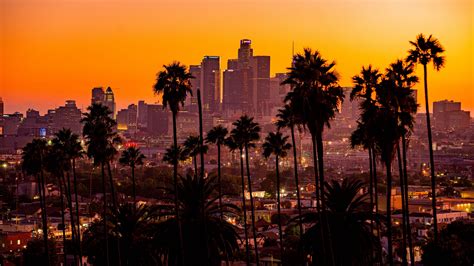 Download Wallpaper 2560x1440 City Palm Trees Sunset Buildings