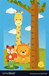 Height Chart Animals Royalty Free Vector Image
