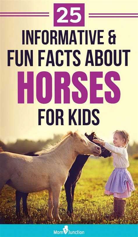 25 Informative And Fun Facts About Horses For Kids Horse Facts