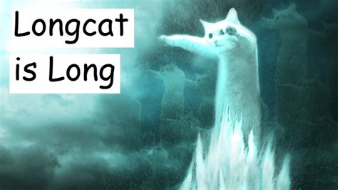 Long Cat Meme 10 Things You Didn T Know About Internet Sensation Longcat