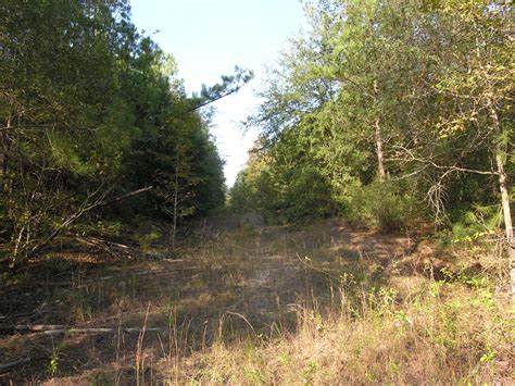 87 And 955 Acre Wooded Lots West Burke County Keysville Georgia