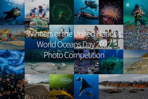Announcing The Winners Of The Ninth United Nations World Oceans Day