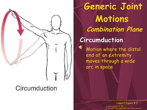 foundational kinesiology module 1 basic concepts jan 2011