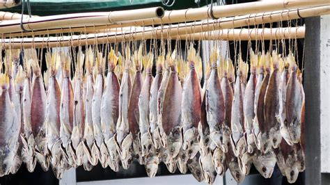 How To Dry Salted Fish 2022 Qaqookingwiki
