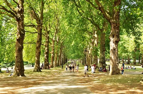Explore The Beautiful Royal Parks Of London