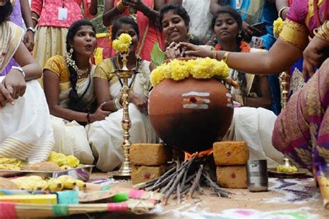 It's celebrated in the winters when the. Live Chennai: The most auspicious time to celebrate Pongal ...