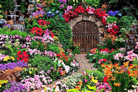 12 Fabulous Floral Garden Gates In Bold Color The Art In Life