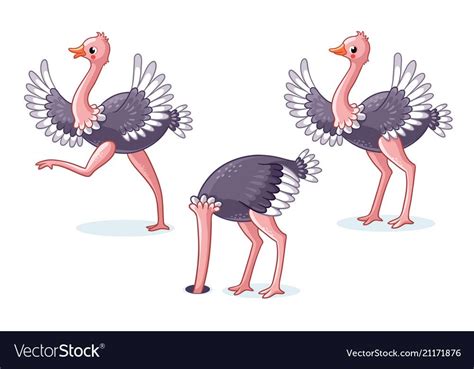 Set Of Ostriches In Different Poses Cute Bird On A White Background In