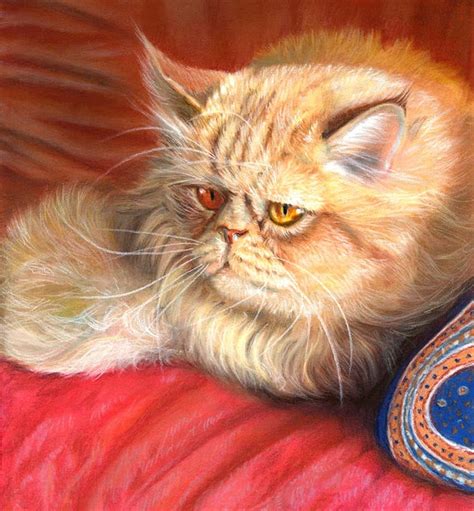 20 Beautiful Realistic Cat Drawings To Inspire You Fine