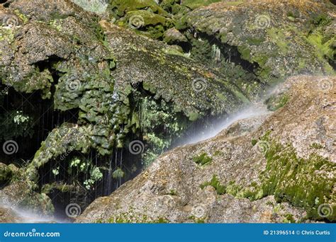 Moss Covered Stones Near A Waterfall Stock Photo Image Of Nature