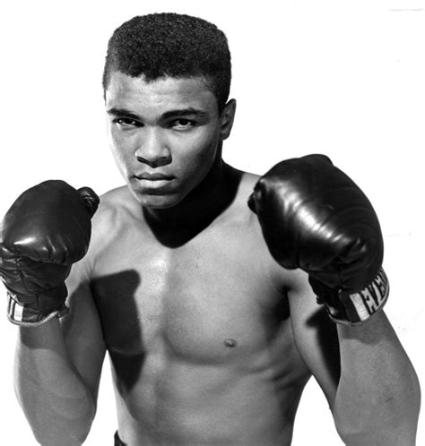 15 Greatest Boxers Of All Time Undercreate