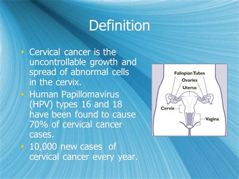 Cervix Cancer Definition Doctor Heck