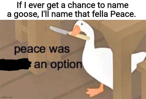 Untitled Goose Peace Was Never An Option Imgflip