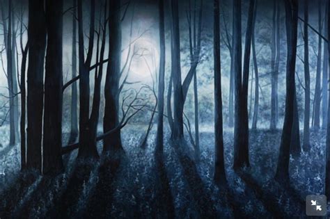 18 Best Wizard Of Oz Set Images On Pinterest Backdrops Backgrounds