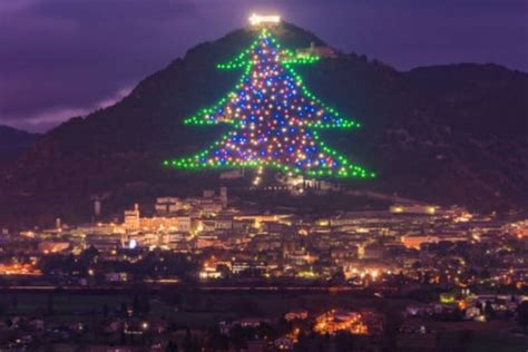 Conoce El árbol De Navidad Más Grande Del Mundo Mide 65 Metros De Altura Videofotos 24 Horas