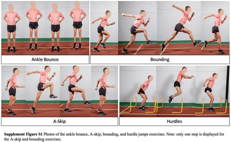 Plyometric Progressions Of The Calf Towards Running Research