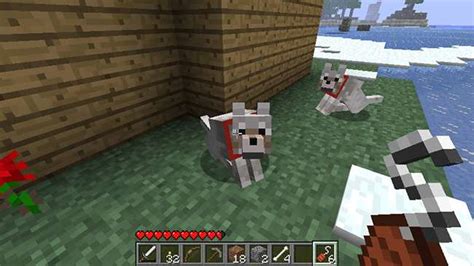 Sophisticated Wolves Mod For Minecraft 18 Minecraftio