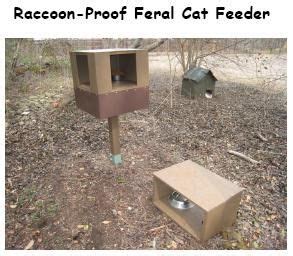 In this cat feeding guide, you'll learn how to nourish your cat from kittenhood through his senior as your cat moves through kittenhood, early adulthood, and beyond. Raccoon-Proof Feeding Stations - Stray Cat Blues Project ...