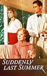 Suddenly, Last Summer (1993) — The Movie Database (TMDB)