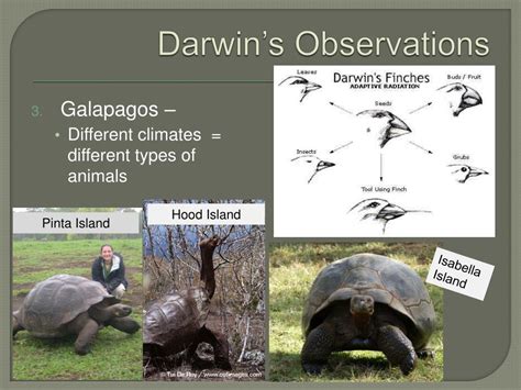Ppt 15 1 Darwin’s Theory Of Evolution Powerpoint Presentation Free Download Id 6777920