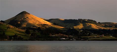 Otago Peninsula Wiki Everipedia