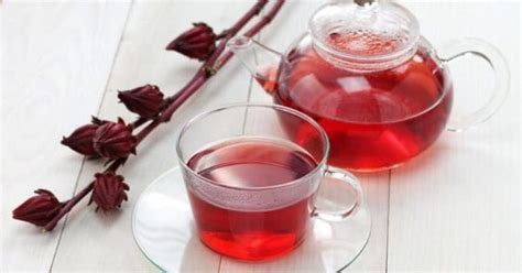 6 Best Hibiscus Tea Brands And Where To Buy Them