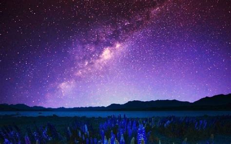 Milky Way Sky Over Flower Field Image Id 17294 Image Abyss