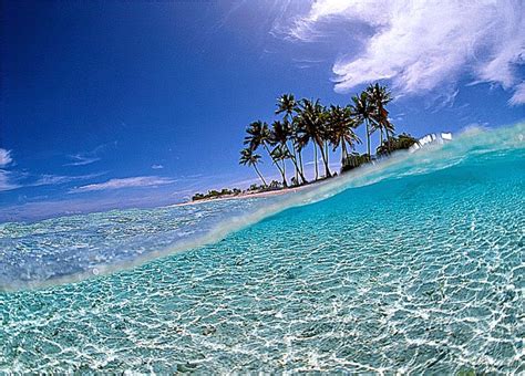 Free Download Tropical Island Beach Wallpaper Pictures Description