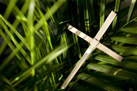 5 Quotes For Palm Sunday The Stream