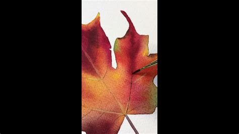 Painting A Fall Leaf In Watercolor Tutorial Youtube