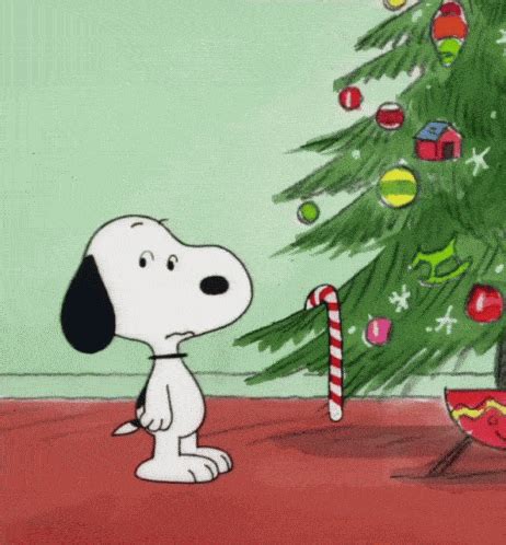 Get Into The Festive Mood With Christmas Cute Gifs