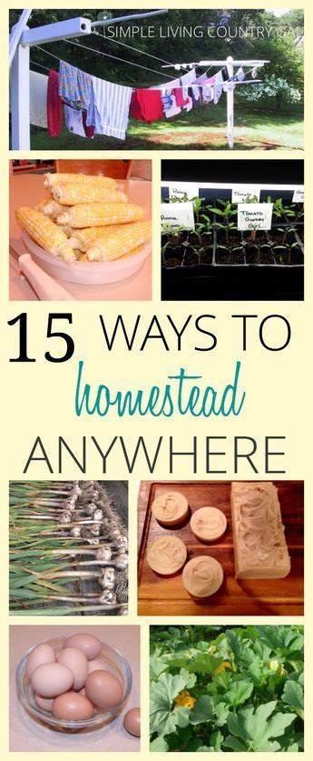 Learn How To Homestead No Matter Where You Live Artofit