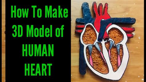 How To Make A 3d Human Heart Model Easy Tutorial Youtube