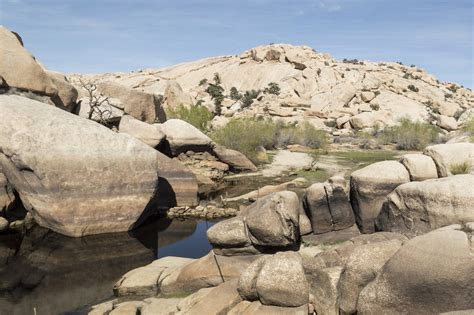 11 Best Day Hikes In Joshua Tree National Park Outdoor Project