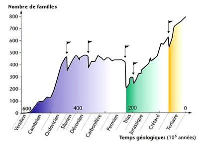 Les cinq grandes crises biologiques PaléoDico l encyclopédie des