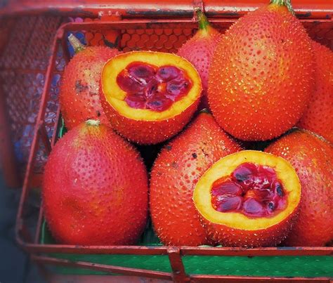 Jul 08, 2011 · salak fruit, also known as the snake fruit, comes from a species of palm native to indonesia. Papaleng Thoughts-Unplugged: 10 Exotic Spiky Fruits