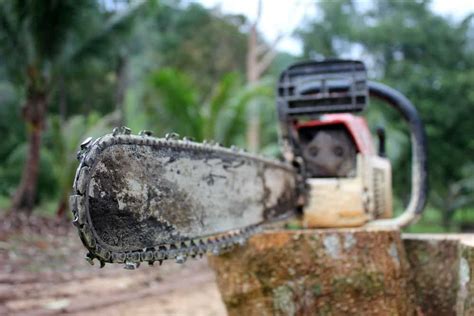 9 Homemade Chainsaw Mill Plans You Can Diy Easily Chainsaw Oil