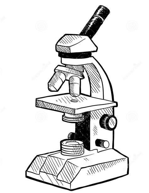 Microscopio Optico Y Sus Partes Sketch Coloring Page