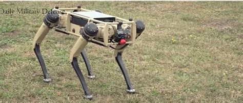 ‘robot Dogs Arrive At Air Force Base Ready To Patrol Remote Areas And