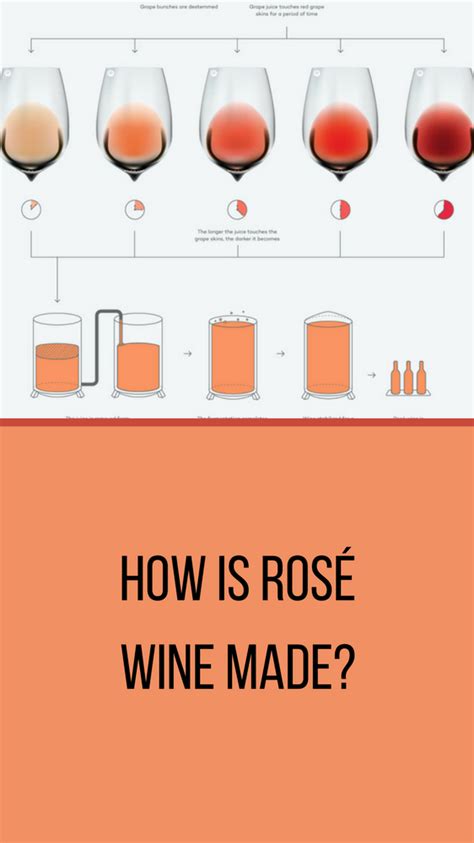 What Is Rosé Quick Guide To Pink Wine Wine Folly Wine Folly Wine Knowledge Wine Making