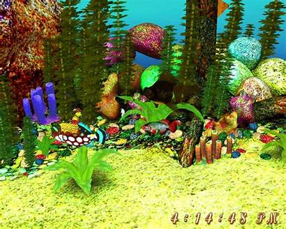 Screensaver 3d Aquarium Screensavers Animated Microsoft Desktop