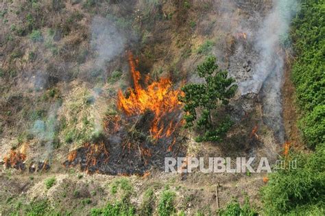 Kebakaran Hutan Di Kalimantan Selatan Republika Online