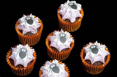 Cakes Halloween Mini Cup Spider Decorations Creative