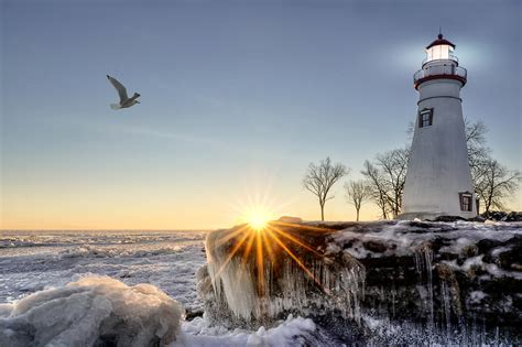 Winter Snow Nature Landscape Lighthouse